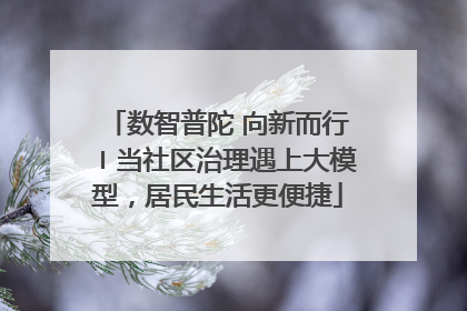 数智普陀 向新而行〡当社区治理遇上大模型，居民生活更便捷