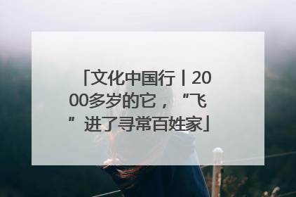 文化中国行丨2000多岁的它，“飞”进了寻常百姓家