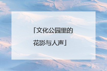 文化公园里的花影与人声