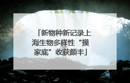 新物种新记录上海生物多样性“摸家底”收获颇丰