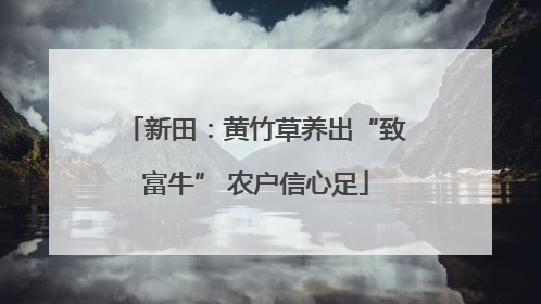 新田：黄竹草养出“致富牛” 农户信心足