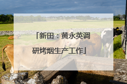 新田：黄永英调研烤烟生产工作