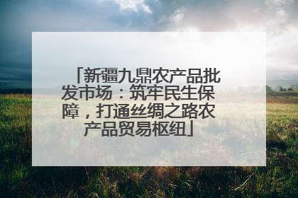 新疆九鼎农产品批发市场：筑牢民生保障，打通丝绸之路农产品贸易枢纽