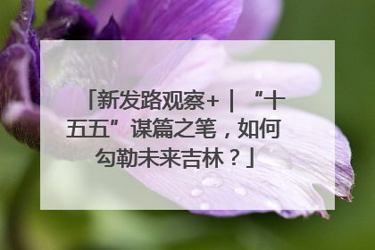新发路观察+｜“十五五”谋篇之笔，如何勾勒未来吉林？