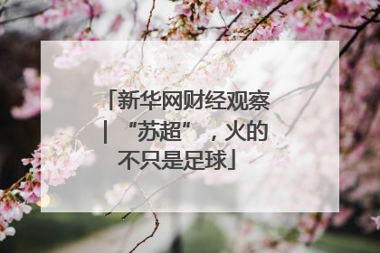 新华网财经观察｜“苏超”，火的不只是足球