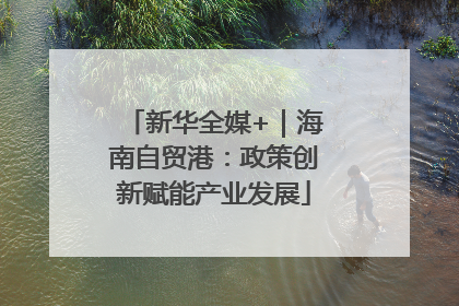 新华全媒+｜海南自贸港：政策创新赋能产业发展