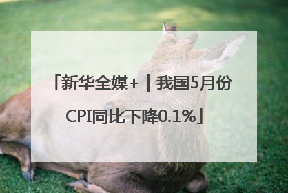 新华全媒+｜我国5月份CPI同比下降0.1%