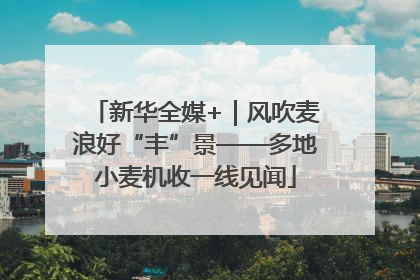 新华全媒+｜风吹麦浪好“丰”景——多地小麦机收一线见闻