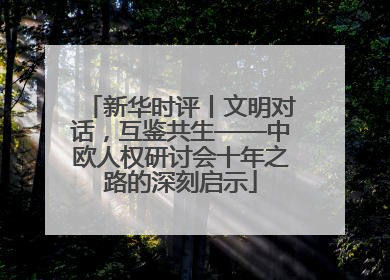 新华时评丨文明对话，互鉴共生——中欧人权研讨会十年之路的深刻启示