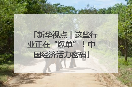 新华视点｜这些行业正在“爆单”！中国经济活力密码
