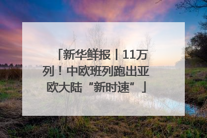 新华鲜报丨11万列！中欧班列跑出亚欧大陆“新时速”