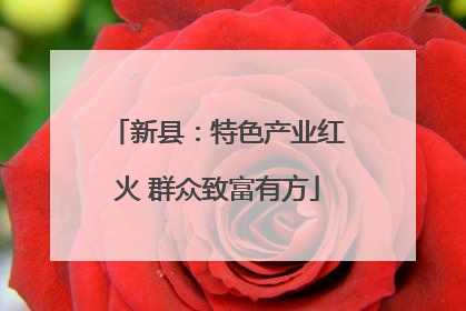 新县：特色产业红火 群众致富有方