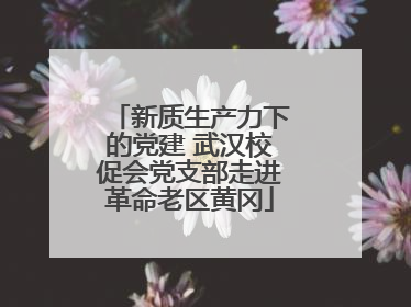 新质生产力下的党建 武汉校促会党支部走进革命老区黄冈