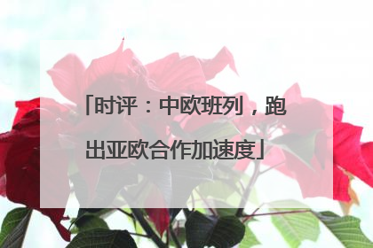 时评：中欧班列，跑出亚欧合作加速度