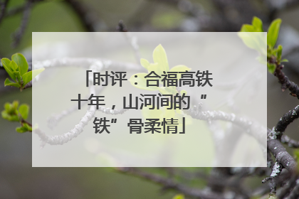 时评：合福高铁十年，山河间的“铁”骨柔情