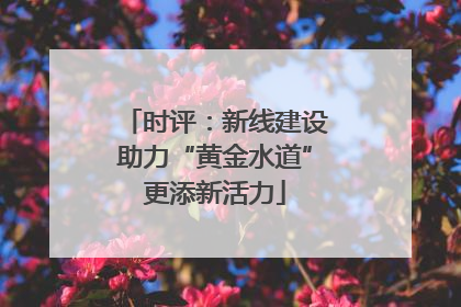 时评：新线建设助力“黄金水道”更添新活力