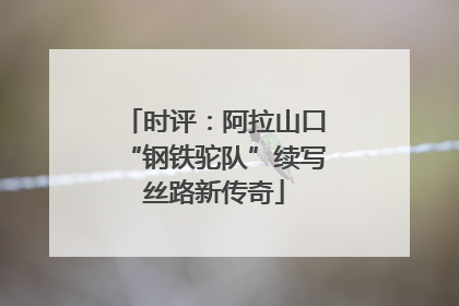 时评：阿拉山口“钢铁驼队”续写丝路新传奇