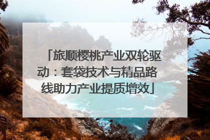 旅顺樱桃产业双轮驱动：套袋技术与精品路线助力产业提质增效