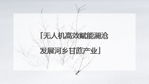无人机高效赋能澜沧发展河乡甘蔗产业