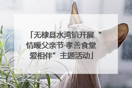 无棣县水湾镇开展“情暖父亲节·孝善食堂爱相伴”主题活动