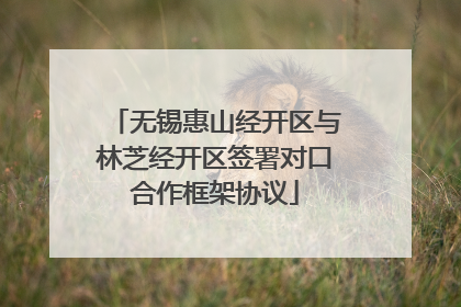 无锡惠山经开区与林芝经开区签署对口合作框架协议