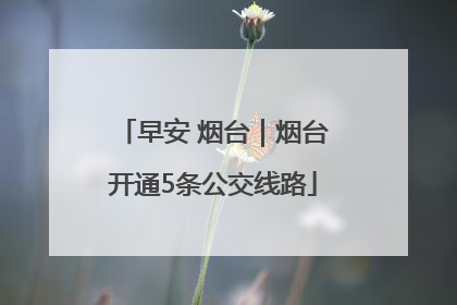 早安 烟台｜烟台开通5条公交线路