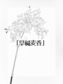 旱碱麦香