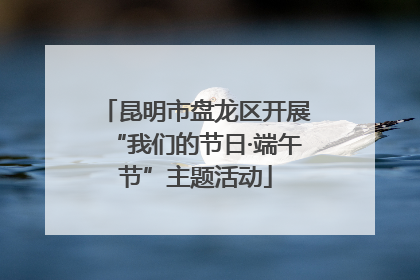 昆明市盘龙区开展“我们的节日·端午节”主题活动