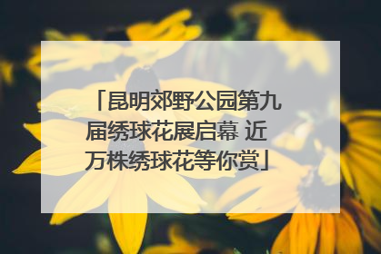 昆明郊野公园第九届绣球花展启幕 近万株绣球花等你赏