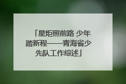 星炬照前路 少年踏新程——青海省少先队工作综述
