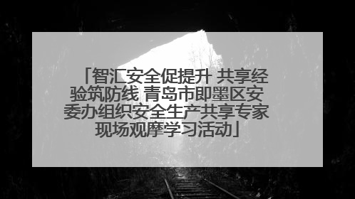 智汇安全促提升 共享经验筑防线 青岛市即墨区安委办组织安全生产共享专家现场观摩学习活动