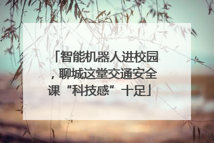 智能机器人进校园，聊城这堂交通安全课“科技感”十足