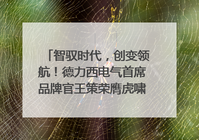 智驭时代，创变领航！德力西电气首席品牌官王策荣膺虎啸奖年度品牌人物