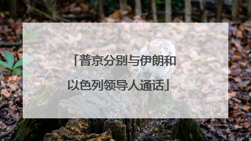 普京分别与伊朗和以色列领导人通话