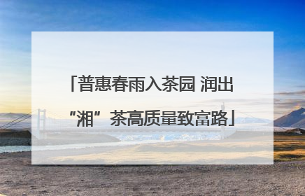普惠春雨入茶园 润出“湘”茶高质量致富路
