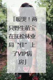 暖哭！两只野生萌宝在抚松林业局“住”上了VIP病房