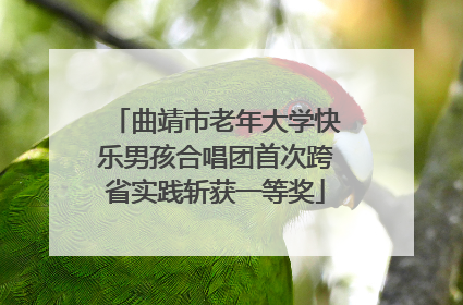 曲靖市老年大学快乐男孩合唱团首次跨省实践斩获一等奖