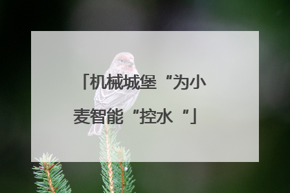 机械城堡“为小麦智能“控水“