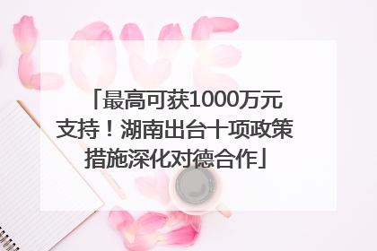 最高可获1000万元支持！湖南出台十项政策措施深化对德合作