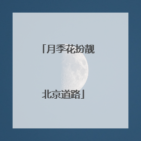 月季花扮靓北京道路