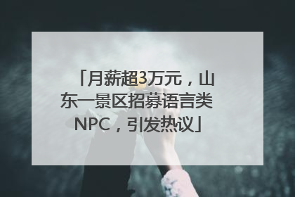 月薪超3万元，山东一景区招募语言类NPC，引发热议