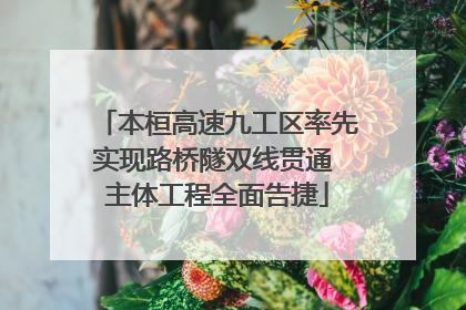 本桓高速九工区率先实现路桥隧双线贯通 主体工程全面告捷