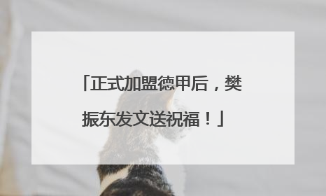 正式加盟德甲后，樊振东发文送祝福！