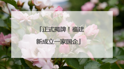 正式揭牌！福建新成立一家国企