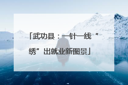 武功县：一针一线“绣”出就业新图景