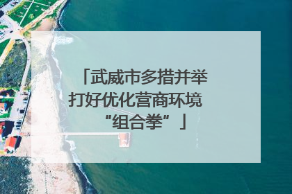 武威市多措并举打好优化营商环境“组合拳”