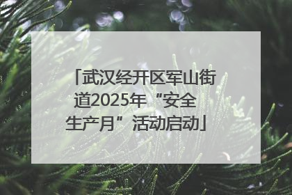 武汉经开区军山街道2025年“安全生产月”活动启动