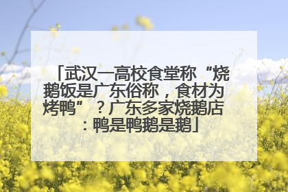 武汉一高校食堂称“烧鹅饭是广东俗称，食材为烤鸭”？广东多家烧鹅店：鸭是鸭鹅是鹅