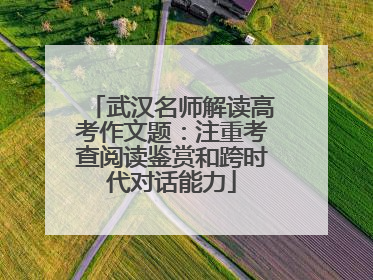 武汉名师解读高考作文题：注重考查阅读鉴赏和跨时代对话能力