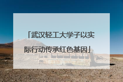 武汉轻工大学子以实际行动传承红色基因